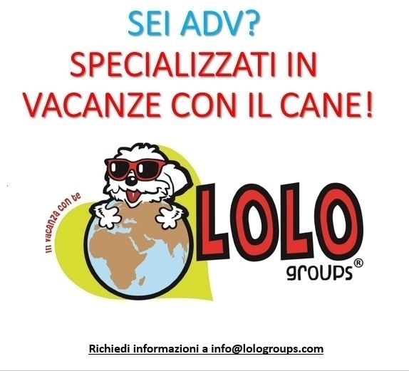 Agenzia di viaggi?! - LOLO Groups