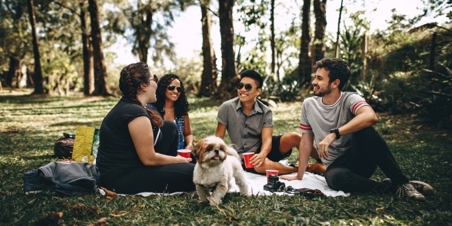 condividere è bello - LOLO Groups