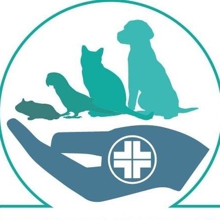 MAIN SPONSOR - DERMAPETS SKINLOVERS - VISITE DERMATOLOGICHE ANIMALI DA COMPAGNIA - LOLO Groups