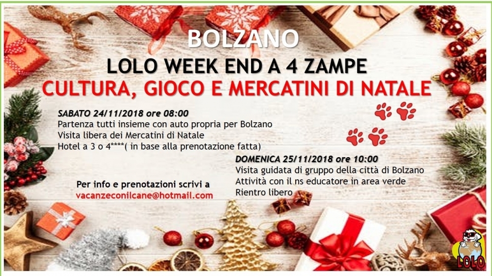 Mercatino di Natale in Gruppo  - Bolzano - LOLO Groups