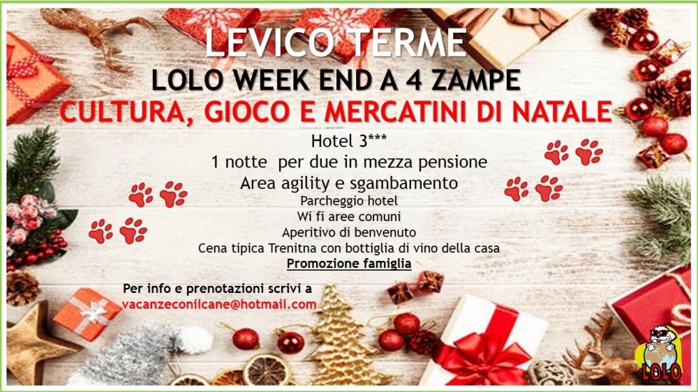 Mercatini di Natale individuali  - Levico Terme - LOLO Groups