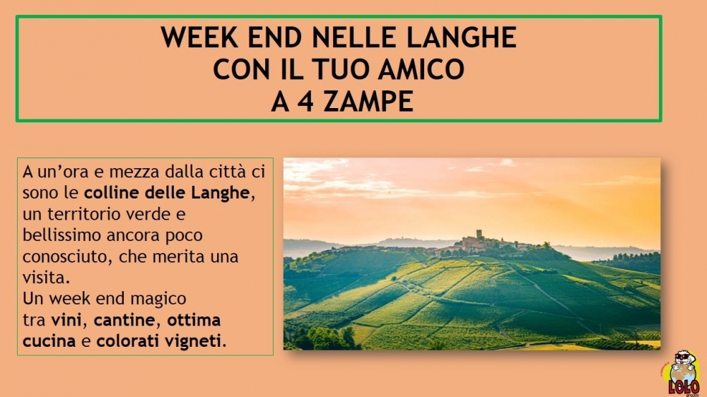 Weekend nelle langhe! - LOLO Groups