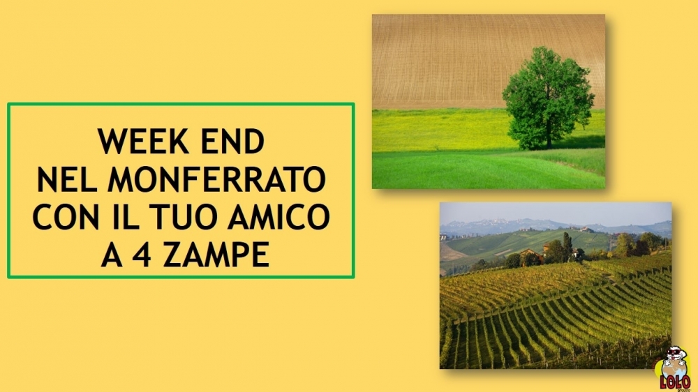 Weekend Monferrato - LOLO Groups